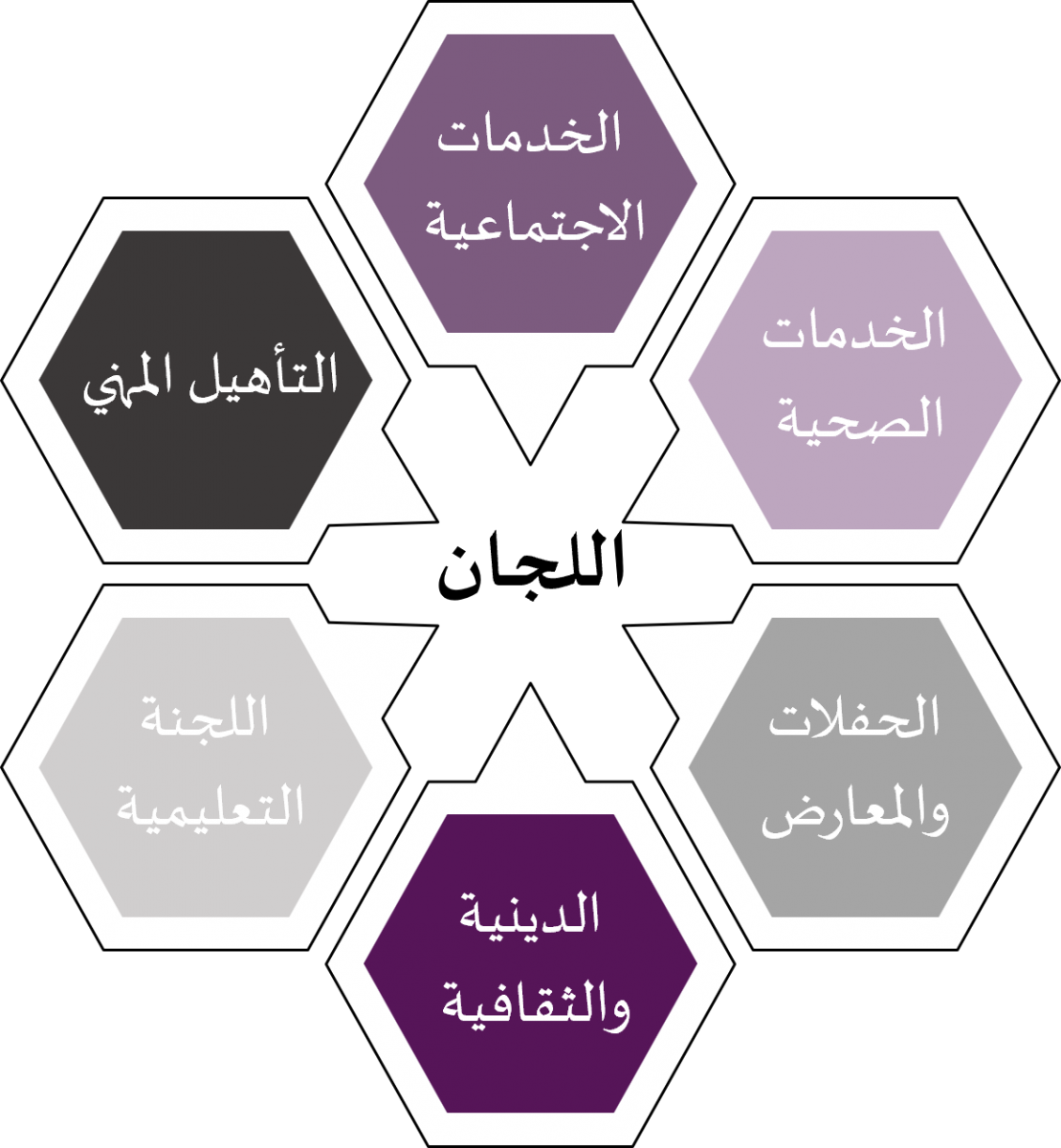 مجلس الإدارة